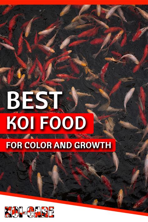 best koi food for growth and color|The Best Koi Food for Growth and Color (9 Brands .